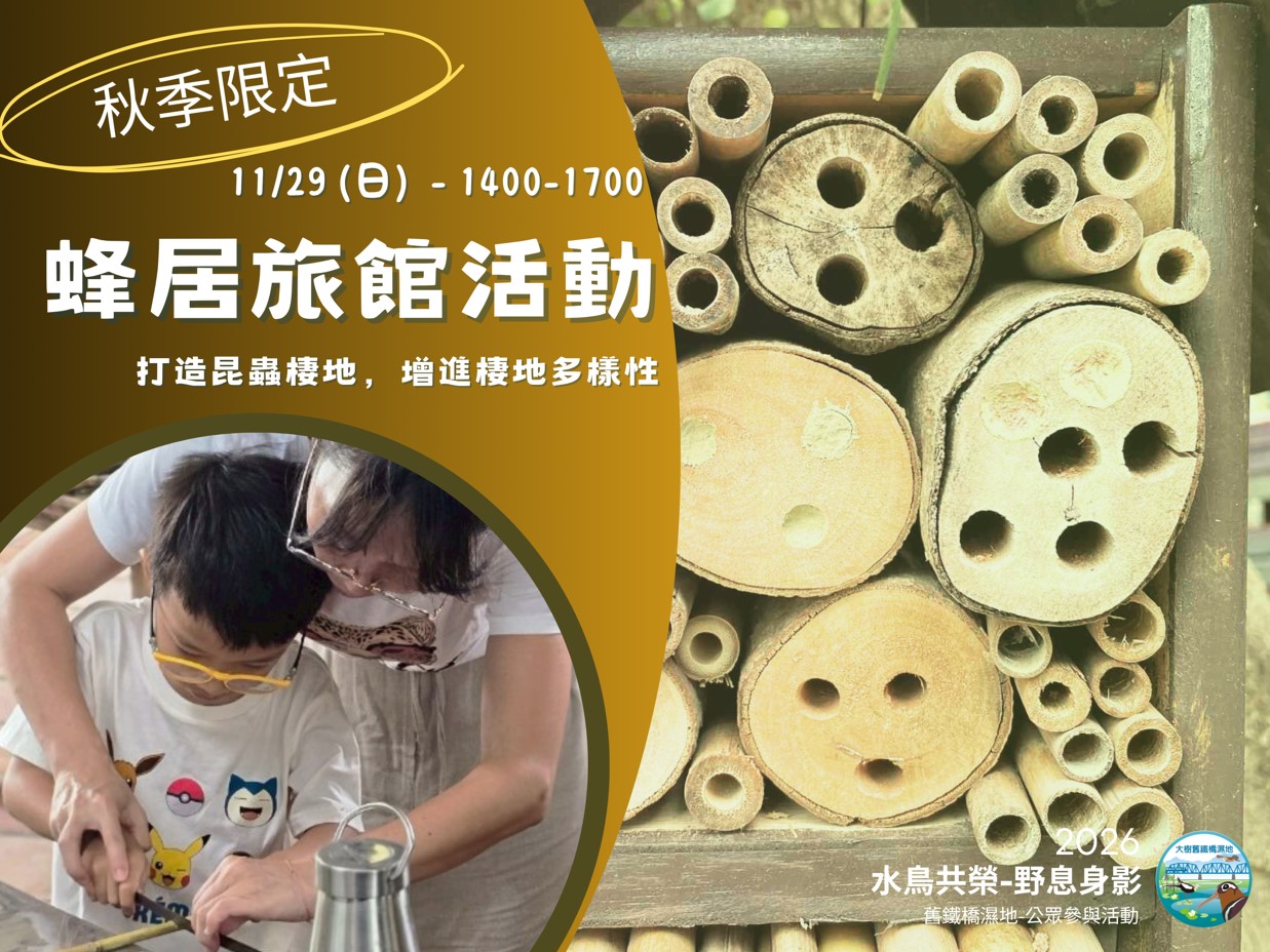 【115.11.29《水鳥共榮-野息身影》】- 秋季活動-🐝蜂居旅館活動